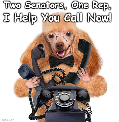 Poodle Help Calling | Two Senators, One Rep, I Help You Call Now! | image tagged in poodle 3 phones,poodle helps calls | made w/ Imgflip meme maker