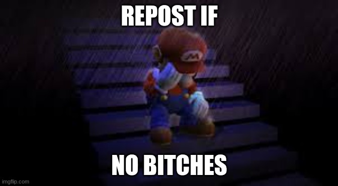 Sad mario | REPOST IF; NO BITCHES | image tagged in sad mario | made w/ Imgflip meme maker