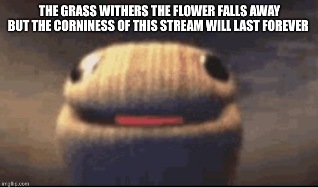 Ballsock | THE GRASS WITHERS THE FLOWER FALLS AWAY BUT THE CORNINESS OF THIS STREAM WILL LAST FOREVER | image tagged in ballsock | made w/ Imgflip meme maker