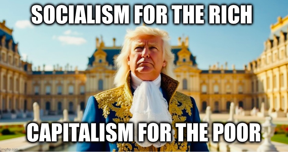 SOCIALISM FOR THE RICH; CAPITALISM FOR THE POOR | image tagged in memes,market totalitarianism,billionaires,oligarchy,usa,trump | made w/ Imgflip meme maker