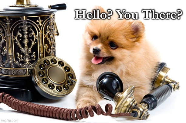 Fluffy Pup Old Phone | Hello? You There? | image tagged in antique phone dog | made w/ Imgflip meme maker