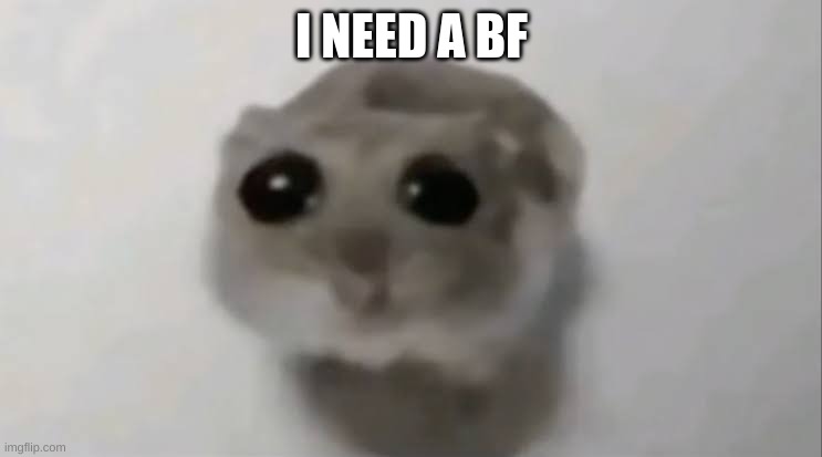 Sad Hamster | I NEED A BF | image tagged in sad hamster | made w/ Imgflip meme maker