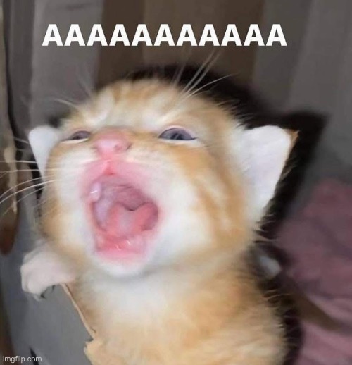 AAAAAAAAAAAAAA | made w/ Imgflip meme maker