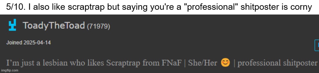 5/10. I also like scraptrap but saying you're a "professional" shitposter is corny | made w/ Imgflip meme maker
