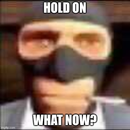spi | HOLD ON WHAT NOW? | image tagged in spi | made w/ Imgflip meme maker