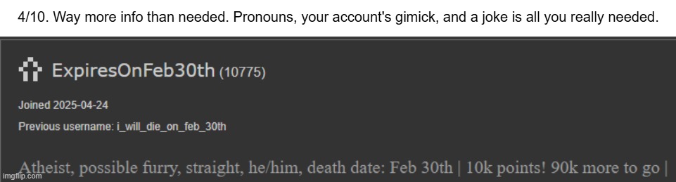 4/10. Way more info than needed. Pronouns, your account's gimick, and a joke is all you really needed. | made w/ Imgflip meme maker