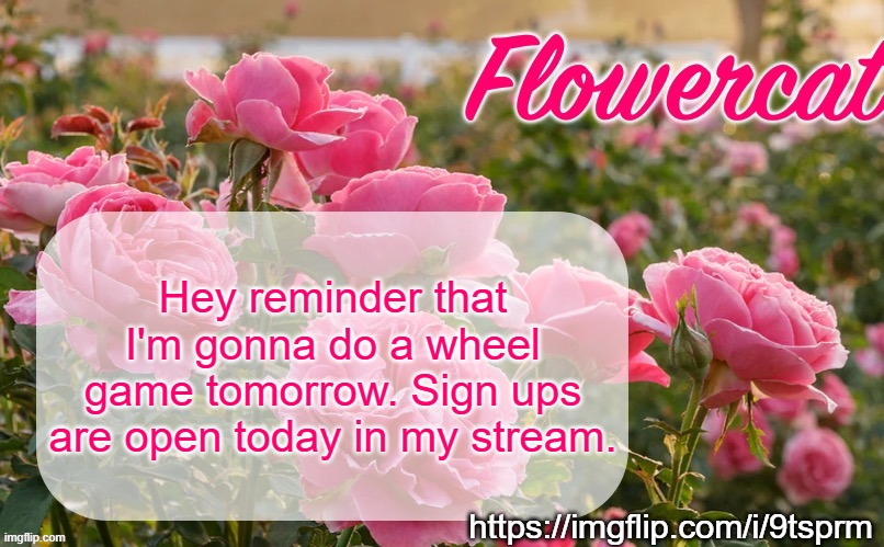 also follow my stream and post there and stuff | Hey reminder that I'm gonna do a wheel game tomorrow. Sign ups are open today in my stream. https://imgflip.com/i/9tsprm | image tagged in flowercat template | made w/ Imgflip meme maker