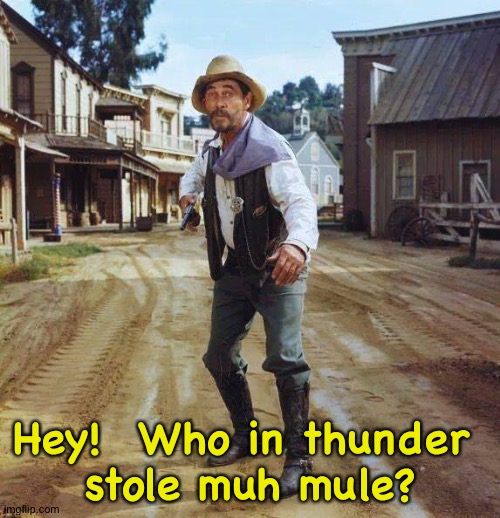 Festus | Hey!  Who in thunder 
stole muh mule? | image tagged in festus | made w/ Imgflip meme maker