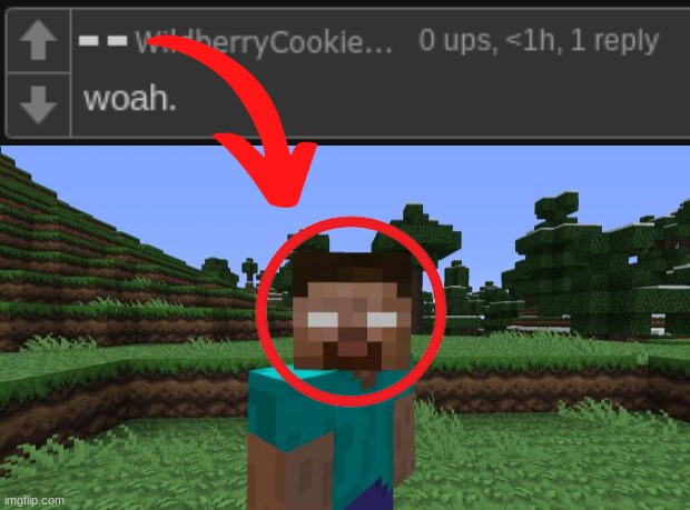 image tagged in herobrine | made w/ Imgflip meme maker