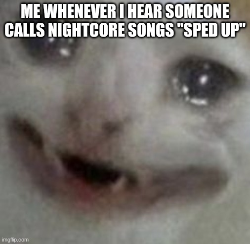 it pains me | ME WHENEVER I HEAR SOMEONE CALLS NIGHTCORE SONGS "SPED UP" | image tagged in crying cat | made w/ Imgflip meme maker