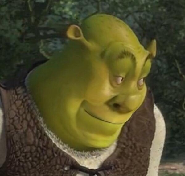 Shrek bruh Blank Meme Template