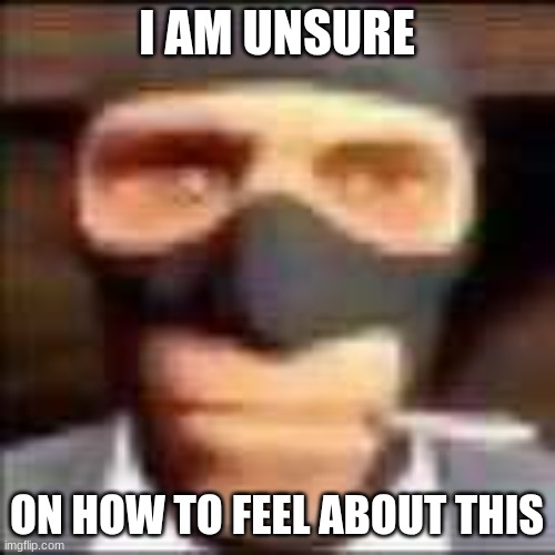 spi | I AM UNSURE ON HOW TO FEEL ABOUT THIS | image tagged in spi | made w/ Imgflip meme maker
