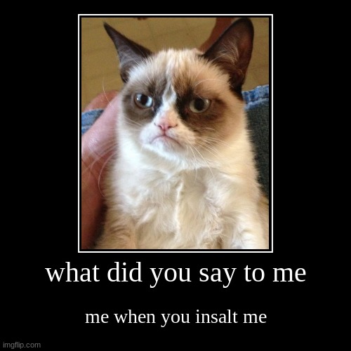 what did you say to me | me when you insalt me | image tagged in funny,demotivationals | made w/ Imgflip demotivational maker