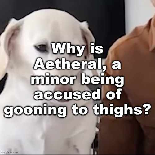 uh | Why is Aetheral, a minor being accused of gooning to thighs? | image tagged in uh | made w/ Imgflip meme maker