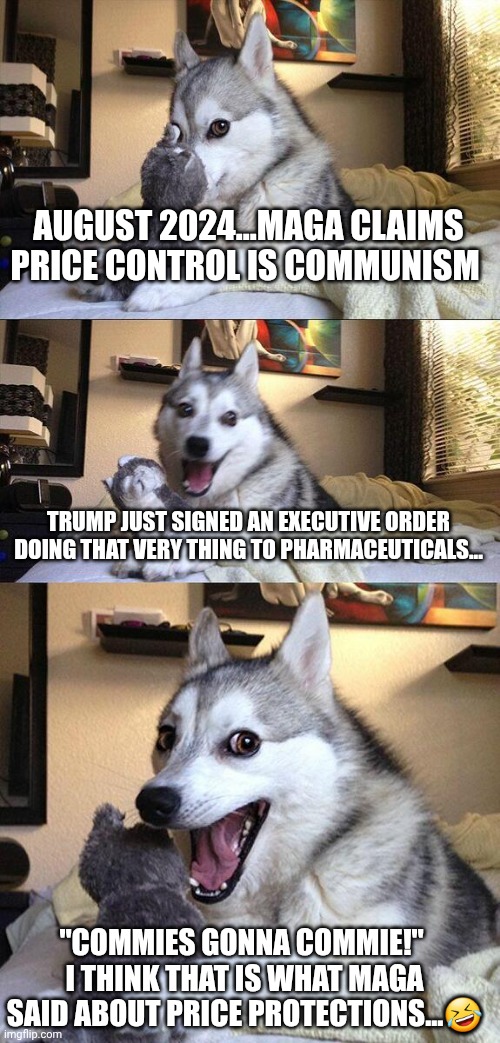 America NEXT is more like it!!!  He loves the cost of soc3ialiat medicine in Europe...his fat friend confirmed it. | AUGUST 2024...MAGA CLAIMS PRICE CONTROL IS COMMUNISM; TRUMP JUST SIGNED AN EXECUTIVE ORDER DOING THAT VERY THING TO PHARMACEUTICALS... "COMMIES GONNA COMMIE!"  I THINK THAT IS WHAT MAGA SAID ABOUT PRICE PROTECTIONS...🤣 | image tagged in memes,bad pun dog | made w/ Imgflip meme maker