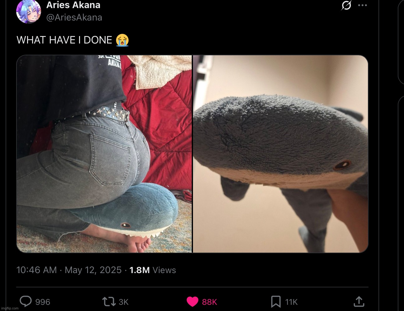 Flat shork | made w/ Imgflip meme maker