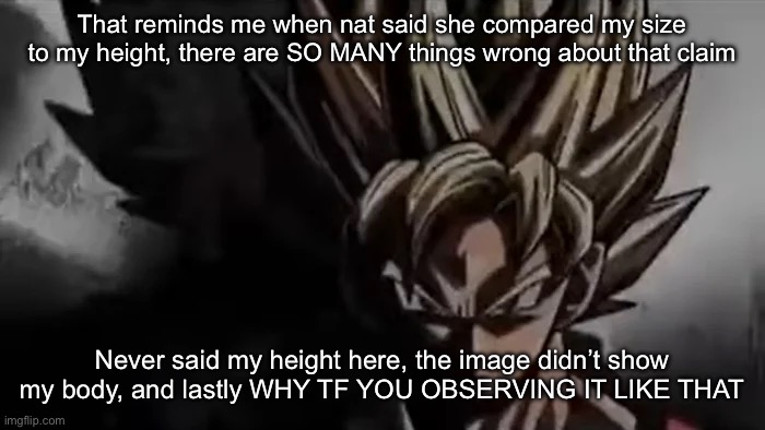 Fun times. I was also definitely suicidal at the time | That reminds me when nat said she compared my size to my height, there are SO MANY things wrong about that claim; Never said my height here, the image didn’t show my body, and lastly WHY TF YOU OBSERVING IT LIKE THAT | image tagged in goku staring | made w/ Imgflip meme maker
