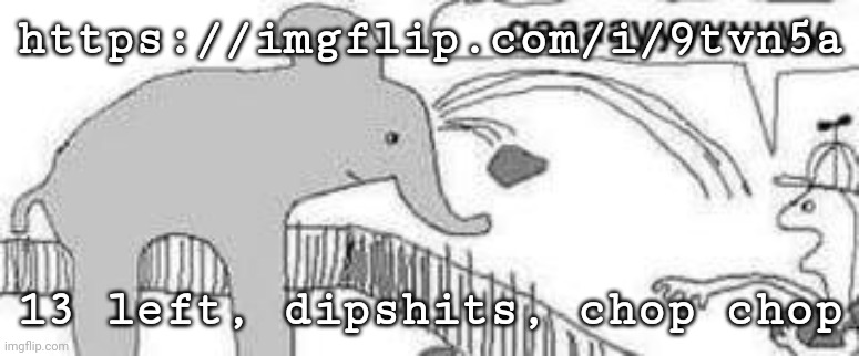 https://imgflip.com/i/9tvn5a | https://imgflip.com/i/9tvn5a; 13 left, dipshits, chop chop | image tagged in help i accidentally,posted this in fun stream,fuck | made w/ Imgflip meme maker