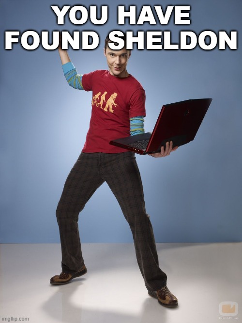 Sheldon Cooper Computer | YOU HAVE FOUND SHELDON | image tagged in sheldon cooper computer | made w/ Imgflip meme maker