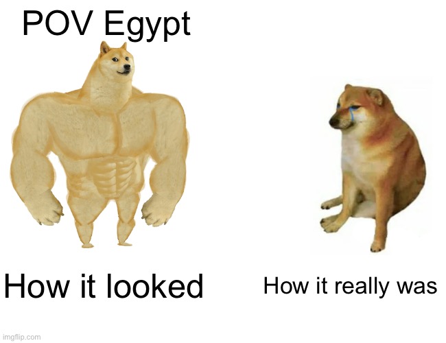 Egypt be like | POV Egypt; How it looked; How it really was | image tagged in memes,buff doge vs cheems | made w/ Imgflip meme maker