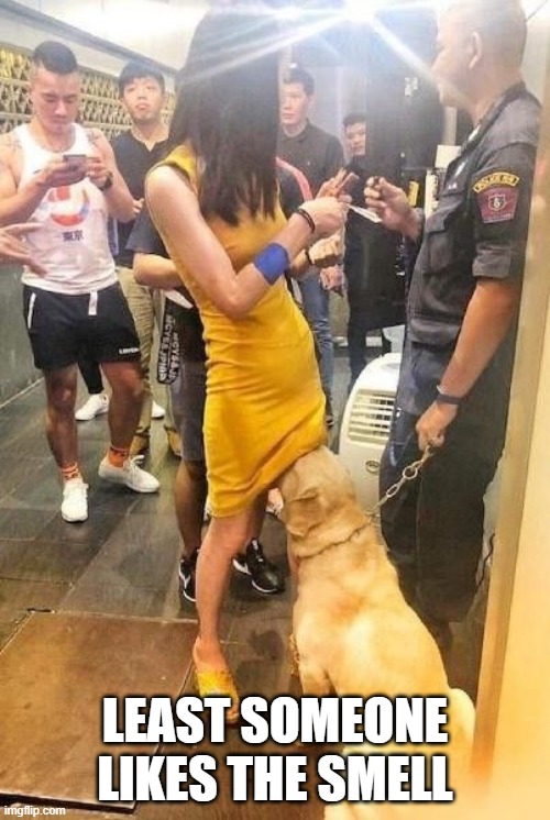 Sniff Sniff | LEAST SOMEONE LIKES THE SMELL | image tagged in sex jokes | made w/ Imgflip meme maker
