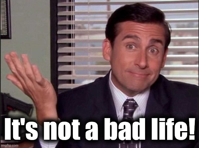 Michael Scott | It's not a bad life! | image tagged in michael scott | made w/ Imgflip meme maker