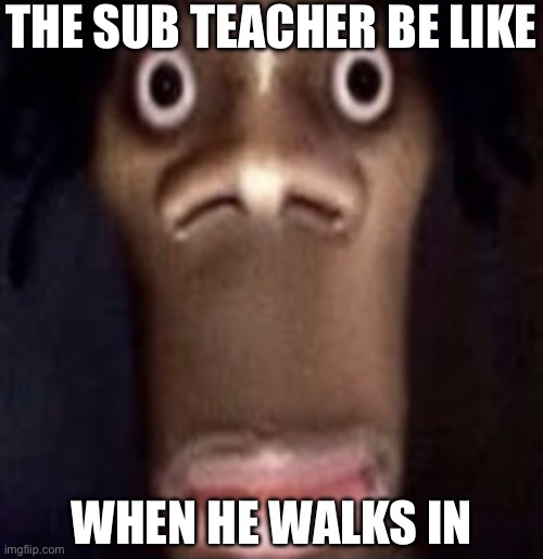 Fr tho | THE SUB TEACHER BE LIKE; WHEN HE WALKS IN | image tagged in quandale dingle | made w/ Imgflip meme maker