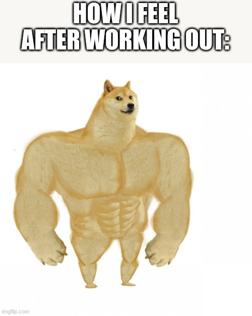 Doge buff | HOW I FEEL AFTER WORKING OUT: | image tagged in doge buff | made w/ Imgflip meme maker