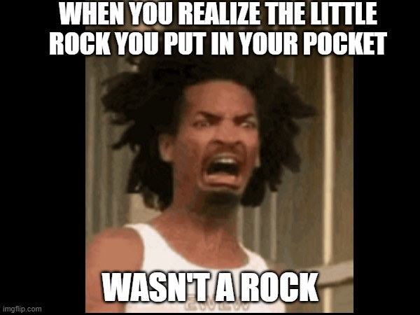 Oh No | WHEN YOU REALIZE THE LITTLE ROCK YOU PUT IN YOUR POCKET; WASN'T A ROCK | image tagged in funny memes | made w/ Imgflip meme maker
