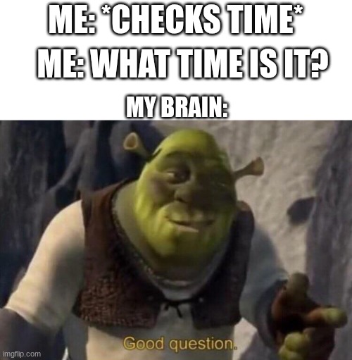 Shrek good question | ME: *CHECKS TIME*; ME: WHAT TIME IS IT? MY BRAIN: | image tagged in am i stupid,tags | made w/ Imgflip meme maker