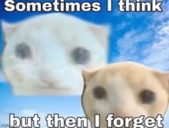 sometimes i think but then i forget | image tagged in sometimes i think but then i forget | made w/ Imgflip meme maker