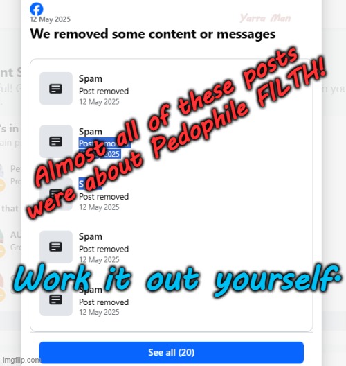 Were these removed because they consider me  Far Right or was it for some other nefarious reason? | Yarra Man; Almost all of these posts were about Pedophile FILTH! Work it out yourself. | image tagged in magistrates n judges,far left woke,greens teals labor labour,priests politicians pedophiles,facebook msm,progressives | made w/ Imgflip meme maker