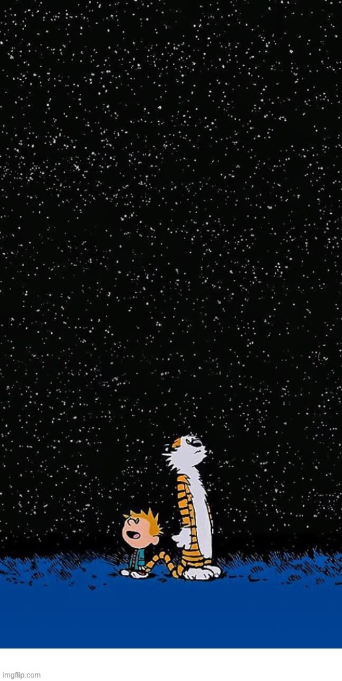 The boys are at a loss for words when contemplating the vastness of the nighttime sky… | image tagged in calvin and hobbes,reflection,the universe,comics,the stars | made w/ Imgflip meme maker