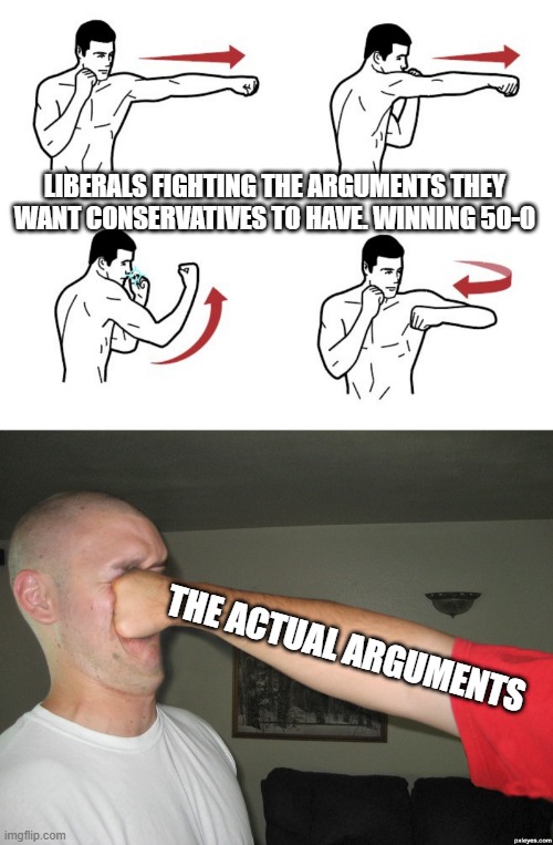 LIBERALS FIGHTING THE ARGUMENTS THEY WANT CONSERVATIVES TO HAVE. WINNING 50-0; THE ACTUAL ARGUMENTS | image tagged in shadow boxing,face punch | made w/ Imgflip meme maker