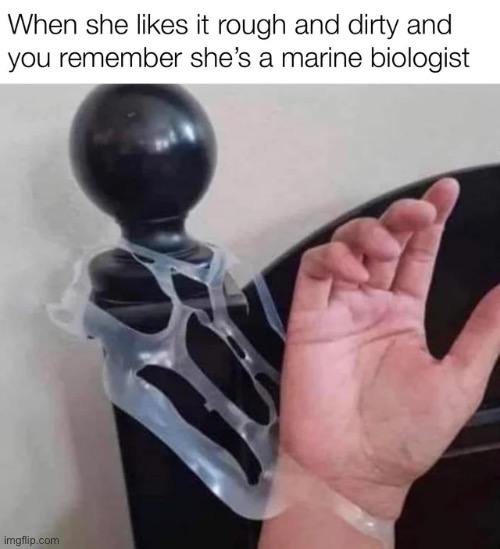 Marine biology | image tagged in marine,biology,kinky,dirty | made w/ Imgflip meme maker