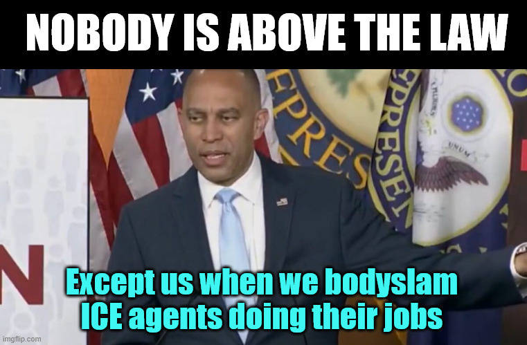 dems threatening DHS for doing their jobs | NOBODY IS ABOVE THE LAW; Except us when we bodyslam ICE agents doing their jobs | image tagged in dems,only dems do not have to obey the law | made w/ Imgflip meme maker