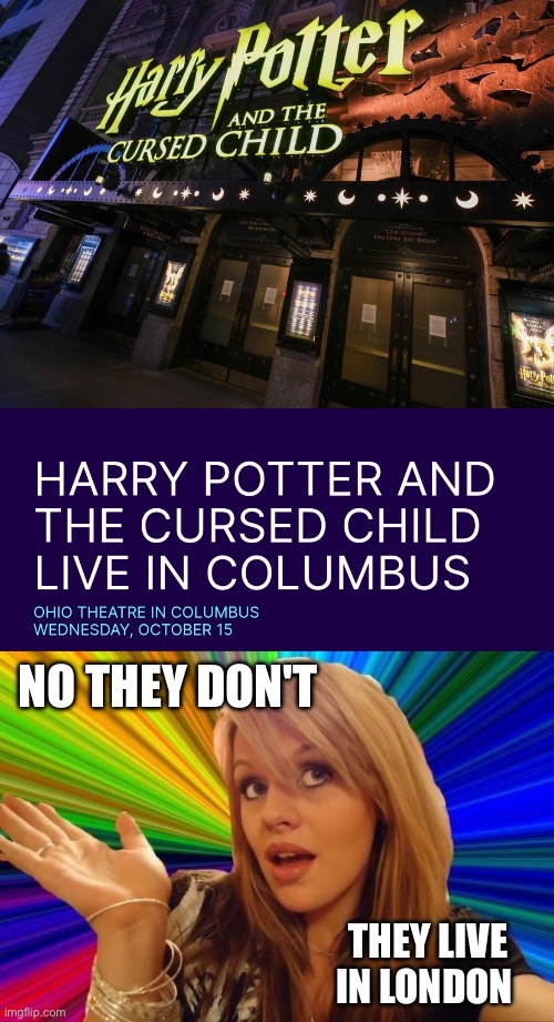 Harry Potter Ad | NO THEY DON'T; THEY LIVE IN LONDON | image tagged in memes,dumb blonde,harry potter,harry potter and the cursed child,columbus | made w/ Imgflip meme maker
