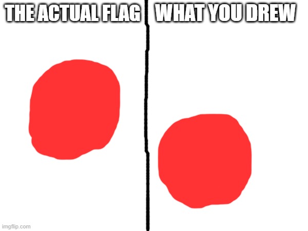 THE ACTUAL FLAG WHAT YOU DREW | made w/ Imgflip meme maker
