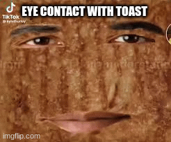 eye contact with toastRULES: no smiling,grinning,gooning,blushing,laughing,or eating 45 millameter 60ft russian nukes. | EYE CONTACT WITH TOAST | image tagged in gifs,funny | made w/ Imgflip images-to-gif maker