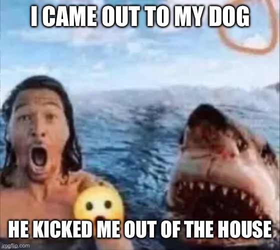 Shark | I CAME OUT TO MY DOG; HE KICKED ME OUT OF THE HOUSE | image tagged in shark | made w/ Imgflip meme maker