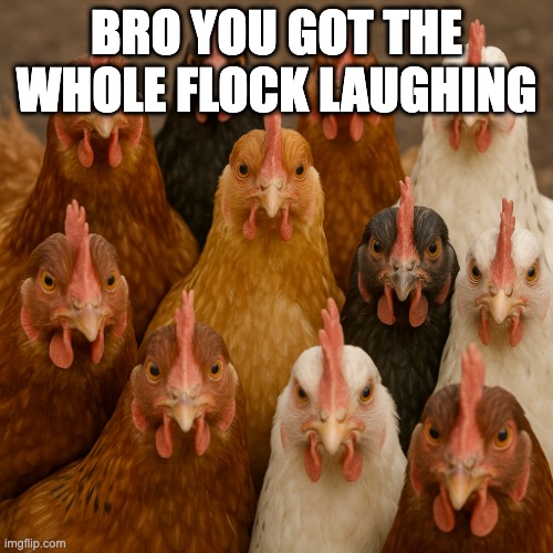 bro, you got the whole flock laughing | BRO YOU GOT THE WHOLE FLOCK LAUGHING | image tagged in bro you got the whole flock laughing | made w/ Imgflip meme maker