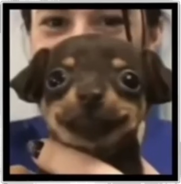 :) Blank Meme Template