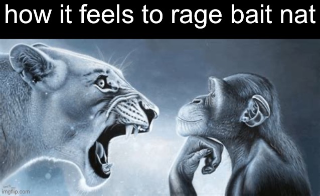 tiger yell at pondering monkey | how it feels to rage bait nat | image tagged in tiger yell at pondering monkey | made w/ Imgflip meme maker