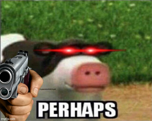 Perhaps Cow | image tagged in perhaps cow | made w/ Imgflip meme maker