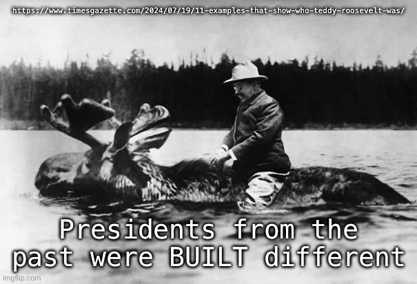 When I mean presidents, I mean TDR | https://www.timesgazette.com/2024/07/19/11-examples-that-show-who-teddy-roosevelt-was/; Presidents from the past were BUILT different | image tagged in teddy roosevelt on a moose | made w/ Imgflip meme maker