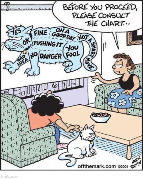 image tagged in cats,safe spots,watch out | made w/ Imgflip meme maker