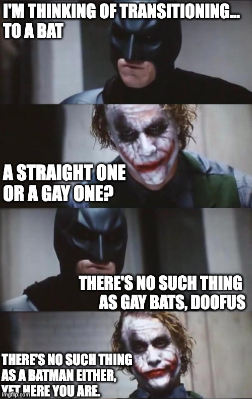 Transitioning | I'M THINKING OF TRANSITIONING... 
TO A BAT; A STRAIGHT ONE 
OR A GAY ONE? THERE'S NO SUCH THING 
AS GAY BATS, DOOFUS; THERE'S NO SUCH THING 
AS A BATMAN EITHER, 
YET HERE YOU ARE. | image tagged in batman and joker | made w/ Imgflip meme maker