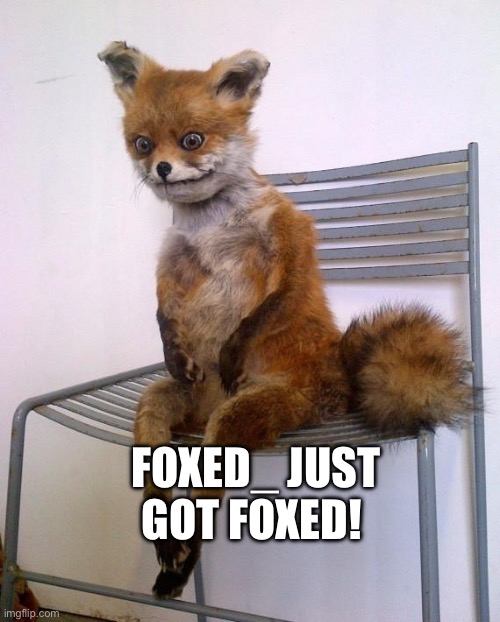 You just got Foxed! | FOXED_ JUST GOT FOXED! | image tagged in stoned fox | made w/ Imgflip meme maker