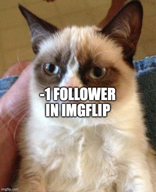 Grumpy Cat | -1 FOLLOWER IN IMGFLIP | image tagged in memes,grumpy cat | made w/ Imgflip meme maker