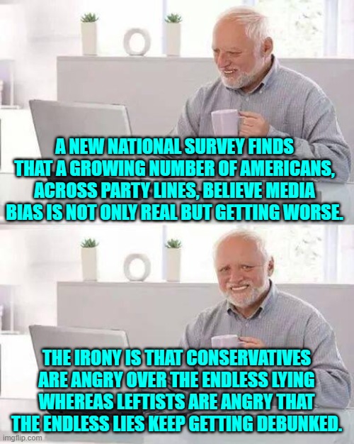 Truth! | A NEW NATIONAL SURVEY FINDS THAT A GROWING NUMBER OF AMERICANS, ACROSS PARTY LINES, BELIEVE MEDIA BIAS IS NOT ONLY REAL BUT GETTING WORSE. THE IRONY IS THAT CONSERVATIVES ARE ANGRY OVER THE ENDLESS LYING WHEREAS LEFTISTS ARE ANGRY THAT THE ENDLESS LIES KEEP GETTING DEBUNKED. | image tagged in hide the pain harold | made w/ Imgflip meme maker